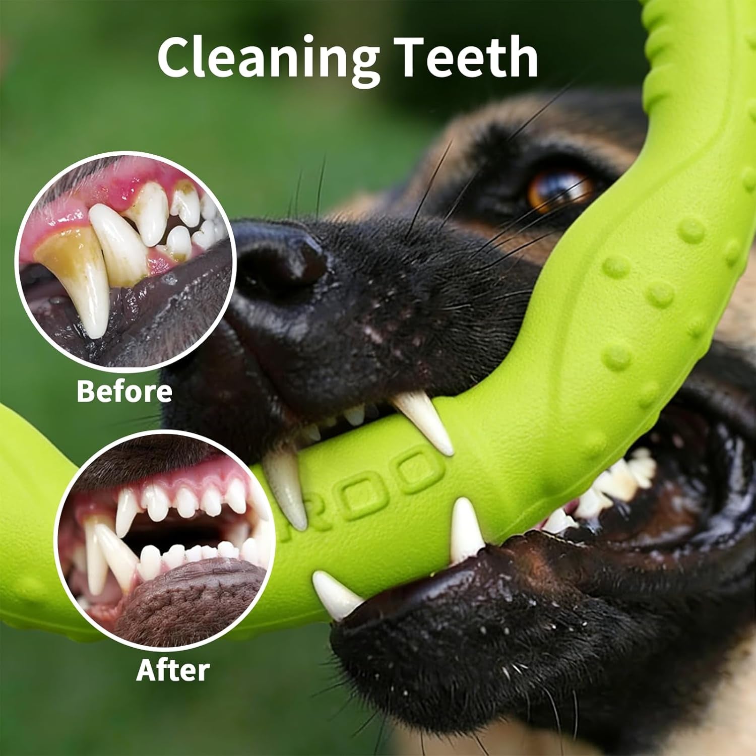 Exciting Dog Ring Toy - Durable Soft Flying Disc for Fun Fetching & Training! Perfect for Medium & Large Breeds, Floats for Water Play (Green, 11.8 Inch)